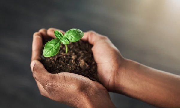 Ce que Warren Buffett nous enseigne sur l’argent et la vie